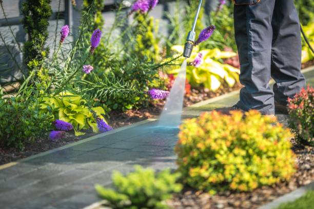 Best Dumpster Area Cleaning  in Carroll Valley, PA