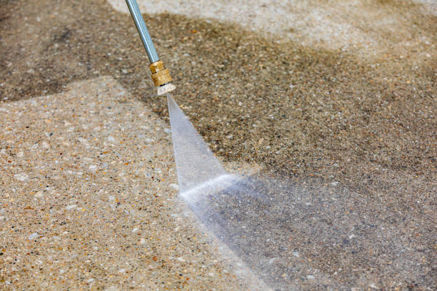 Best Driveway Pressure Washing  in Carroll Valley, PA